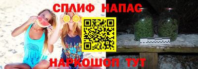 мдпв Гагарин
