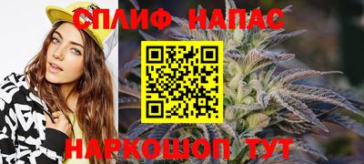 мдпв Гагарин
