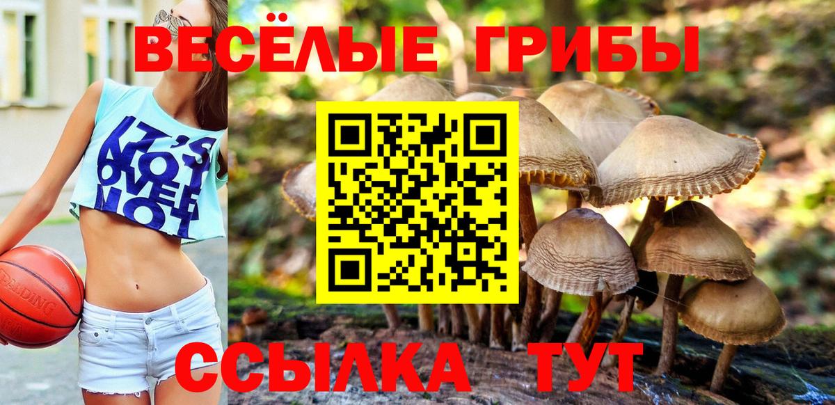 Псилоцибиновые грибы GOLDEN TEACHER  Галлюциногенные грибы MAGIC MUSHROOMS  Малоярославец  Вход с VPN 